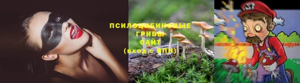 стаф Белоозёрский