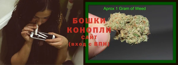 стаф Белоозёрский