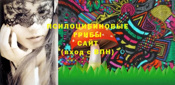 стаф Белоозёрский