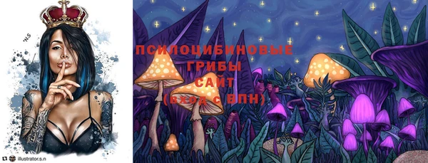 первитин Белокуриха