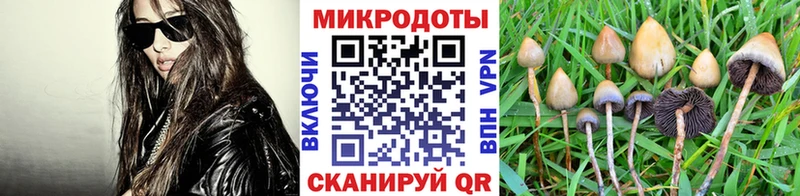 сколько стоит  Сегежа  Галлюциногенные грибы GOLDEN TEACHER 